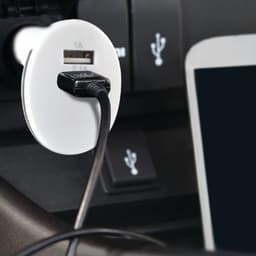In Use with Blank