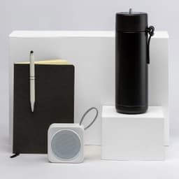 The Daily Setup - image 2