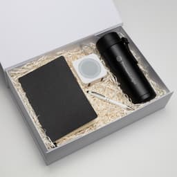 The Daily Setup - image 1