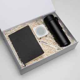 The Daily Setup - image 4