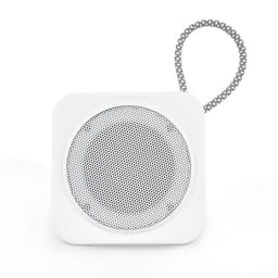 The Daily Setup - image 13