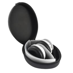 Case