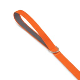 Printed Dog Lead - image 1