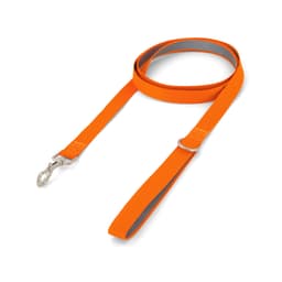 Printed Dog Lead - image 4