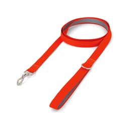 Printed Dog Lead - image 5