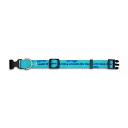 Sublimated Dog Collar - image 2