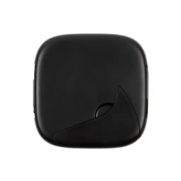 Black Back