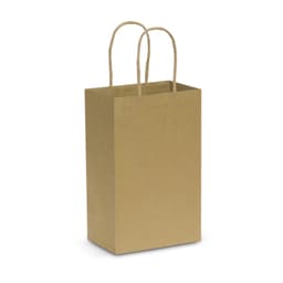 Paper Carry Bag - Small - image 1