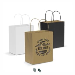 Paper Carry Bag - Medium - image 13