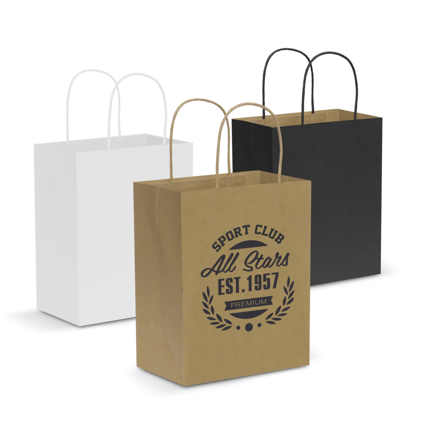 Paper Carry Bag - Medium-Active Image