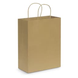 Paper Carry Bag - Large - image 1