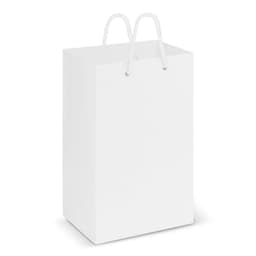 Laminated Carry Bag - Small - image 1