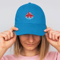 Falcon Cap - image 30
