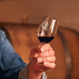 Chateau Wine Taster Glass - image 5