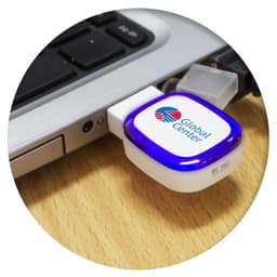Zodiac 4GB Flash Drive - image 6