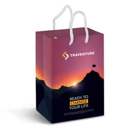 Small Laminated Paper Carry Bag - Full Colour - image 2