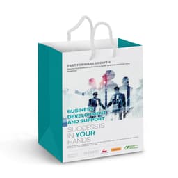 Medium Laminated Paper Carry Bag - Full Colour - image 2