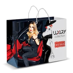 Extra Large Laminated Paper Carry Bag - Full Colour - image 2