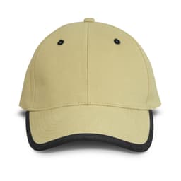 Springfield Cap - image 1