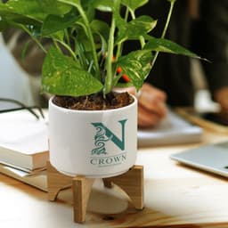 Planter with Bamboo Base - image 4
