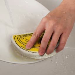 Expandable Sponge - image 2