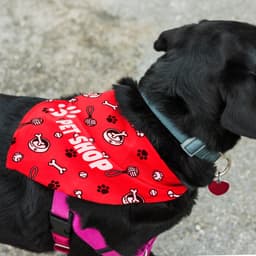 Pet Bandana - Large - image 2