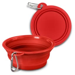 Silicone Collapsible Pet Bowl - image 2