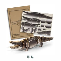 BRANDCRAFT Crocodile Wooden Model - image 4