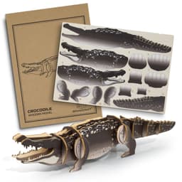 BRANDCRAFT Crocodile Wooden Model - image 1