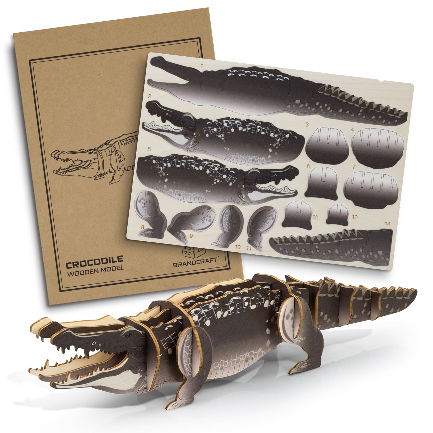 BRANDCRAFT Crocodile Wooden Model-Active Image