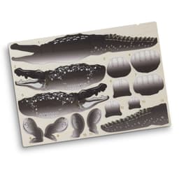 BRANDCRAFT Crocodile Wooden Model - image 5