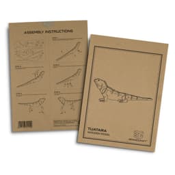 BRANDCRAFT Tuatara Wooden Model - image 1