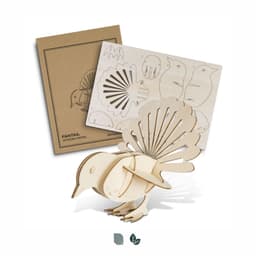 BRANDCRAFT Fantail Wooden Model - image 3