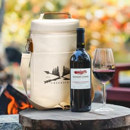 Colton Double Wine Cooler Bag - image 5