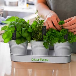 Keepsake Herb Planter - image 4