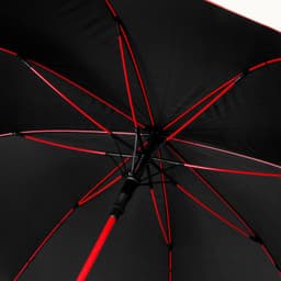Monsoon Umbrella - image 3