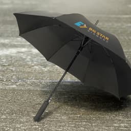 Cirrus Umbrella - image 1